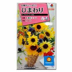 ヒマワリ：F1サンリッチ混合 2袋セット[タキイ 花タネ]
