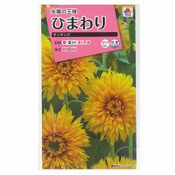 ヒマワリ：サンキング 2袋セット[花タネ]
