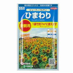 ヒマワリ：ビューティフルサン　景観用ボリュームパック 2袋セット[春まき　花タネ]