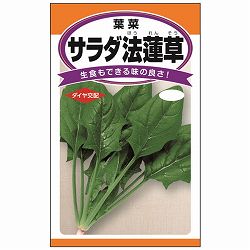 ホウレンソウ：サラダ法蓮草　の種 2袋セット[野菜タネ]