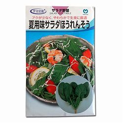 ほうれんそう種：夏用味サラダほうれんそう* 2袋セット[野菜タネ]