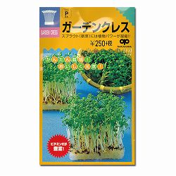 モヤシの種（スプラウト栽培用）：ガーデンクレス（胡椒草） 2袋セット[タネ]