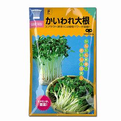 モヤシの種（スプラウト栽培用）：かいわれ大根 2袋セット[タネ]