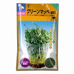 モヤシの種（スプラウト栽培用）：グリーンマッペ（緑豆） 2袋セット[タネ]