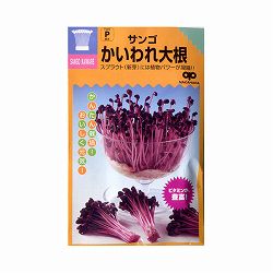 モヤシの種（スプラウト栽培用）：サンゴかいわれ大根 2袋セット[タネ]