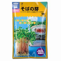 モヤシの種（スプラウト栽培用）：そばの芽 2袋セット[タネ]