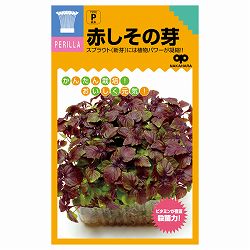 モヤシの種（スプラウト栽培用）：赤しその芽 2袋セット[タネ]