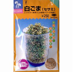モヤシの種（スプラウト栽培用）：白ごま（セサミ） 2袋セット[タネ 通年まき]