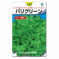 リーフレタス種：パリグリーン* 2袋セット