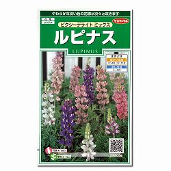 ルピナス：ピクシーデライトミックスの種 2袋セット[サカタ　花タネ]