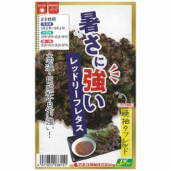 レタス：暑さに強い レッドリーフレタス 晩抽タフレッド[春・夏まき 野菜タネ PVP]* 2袋セット