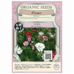 花の種：有機種子　コスモス（ミックスカラー） 2袋セット