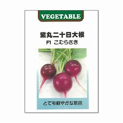 紫丸二十日大根：F1こむらさき 2袋セット[周年まき　野菜タネ][ハツカダイコンのタネ]