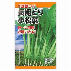 長期どり小松菜 2袋セット[1回蒔けば長い期間収穫できる！　厳冬以外タネまき可能]