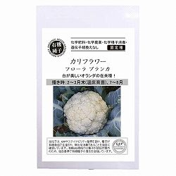 野菜の種：カリフラワー（フローラ ブランカ） 2袋セット[タネ]