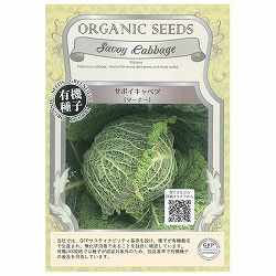野菜の種：サボイキャベツ(マーナー） 2袋セット[野菜タネ]
