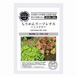 野菜の種：リーフレタス（チリメンリーフレタス　ミックス） 2袋セット[タネ]