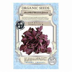 野菜の種：レッド オラッシュ／ヤマホウレンソウ（赤） 2袋セット[タネ]