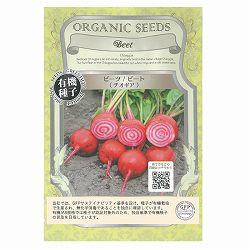 野菜の種：有機種子　ビーツ（チオギア） 2袋セット[タネ]