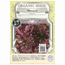 野菜の種：有機種子　マスタード／からし菜（パープルフリル） 2袋セット[野菜タネ]