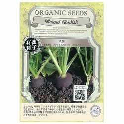 野菜の種：有機種子　大根（ブラックスパニッシュラウンド　黒丸大根） 2袋セット[ダイコンのタネ]