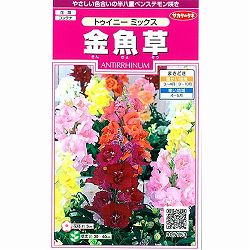 キンギョソウ（金魚草）：トゥイニーミックスの種 2袋セット[サカタ　花タネ]