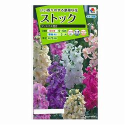 ストック：クリスマス混合 2袋セット[タキイ 花タネ]