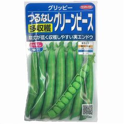 つるなしグリーンピース：グリッピー* 2袋セット[サカタ　野菜タネ]