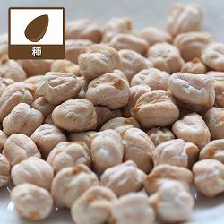 ヒヨコマメの種10ミリリットル入り（栽培用） 2袋セット