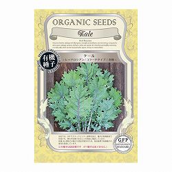 野菜の種：ケール(レッドロシアン/コラードタイプ/赤軸) 2袋セット[3-7月まき　野菜タネ]