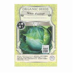 野菜の種：有機種子　キャベツ（ローラ / 丸玉系） 2袋セット[野菜タネ]