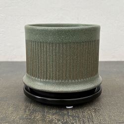 ミネルバ：緑S（直径約13cm）／黒マット受け皿付き
