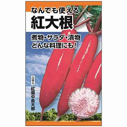 ダイコン：なんでも使える　紅大根（べにだいこん）[野菜タネ　夏秋まき　紅園中長大根]