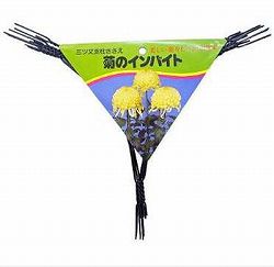 菊のインバイド ねじり型　5個入り黒