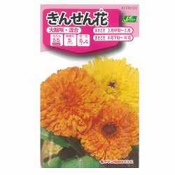 キンセンカ：大輪咲き混合（カレンデュラ・金盞花） 3袋セット[カネコ　花タネ]