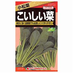 コマツナ（小松菜）種：こいしい菜 2袋セット[野菜タネ]