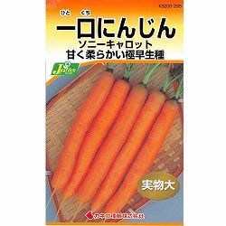 ニンジン種：一口にんじん ソニーキャロット 2袋セット[野菜タネ]