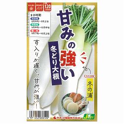 ダイコン：甘味の強い冬どり大根 冬の浦 2袋セット[野菜タネ]