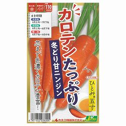 ニンジン：カロテンたっぷり冬どり甘ニンジン ひとみ五寸 2袋セット[野菜タネ]