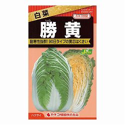 ハクサイ（白菜）：勝黄（しょうき） 2袋セット[野菜タネ]