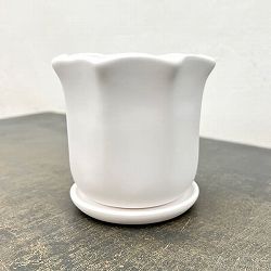 ルーアン：白M（直径約12.5cm）・皿付き