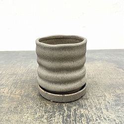 ピサロ：濃緑S（直径約11cm）・受け皿付