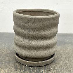 ピサロ：濃緑M（直径約14cm）・受け皿付