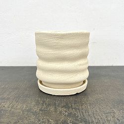 ピサロ：白マットM（直径約14cm）・受け皿付