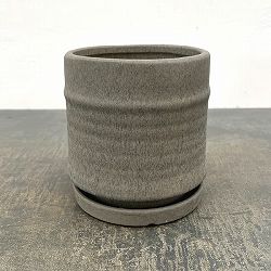 アゴラ：濃緑M（直径約14.5cm）・受け皿付