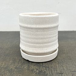 アゴラ：白S（直径約11.5cm）・受け皿付