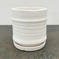 アゴラ：白M（直径約14.5cm）・受け皿付