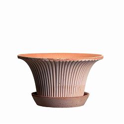 BERGS POTTER：デイジー25 ナチュラル(直径25cm)42889