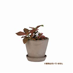 BERGS POTTER：ジュリー14 グレー(直径14cm)42883
