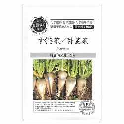 野菜の種：すぐき菜（酢茎菜）[野菜タネ　8-9月まき]